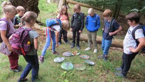 Bildung im Nationalpark Kellerwald-Edersee Kinder spielen im Rahmen des Bildungsprogrammes im Nationalpark.