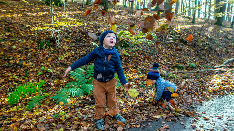 Kind spielt mit Laub im Wald