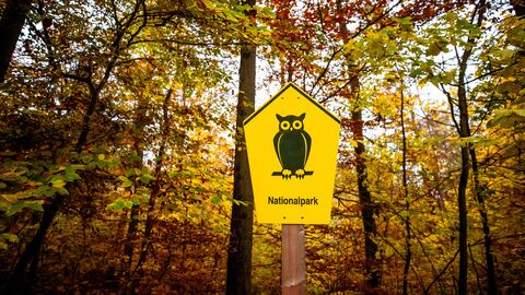 Markierung der Nationalpark-Grenzen Schild mit Eule und Schrift "Nationalpark"