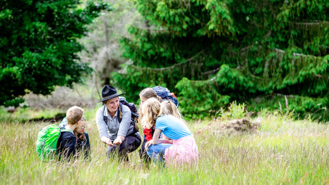 Rangerin sitzt mit Kindern auf einer Wiese und zeigt ihnen etwas.
