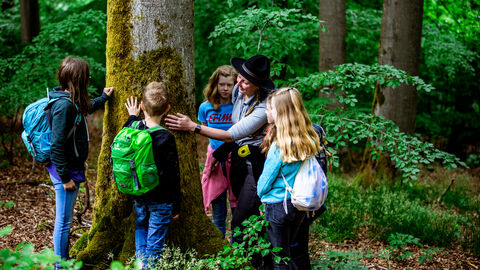 Wildnisbildung Rangerin zeigt Kindern eine alte Buche im Wald