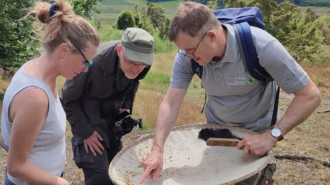 Forscher zeigt zwei Personen Insekten auf einem Gitternetz