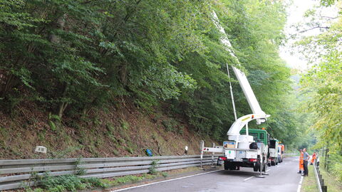 Hubsteiger-Einsatz Hubsteiger auf einer Verkehrsstraße entfernt Totholz am Straßenrand
