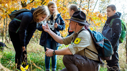 Wildnis verstehen Nationalpark-Ranger mit Kindern im Wald