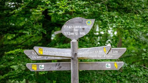 Touristische Wegweiser Wegweiser im Wald