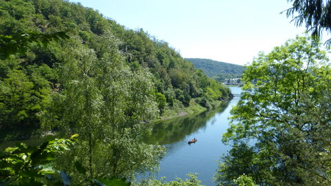 Blick auf Edersee und Nationalpark bei Asel