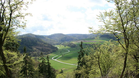 Kulturlandschaft Kellerwald Kulturlandschaft mit Bäumen und Wiesental