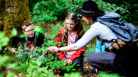 Rangerin zeigt zwei Kindern eine Pflanze im Wald