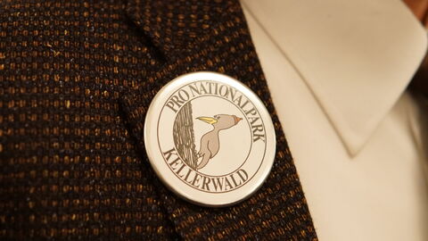 Vorläufer des Fördervereins für den Nationalpark Button der Initiative Pro Nationalpark Kellerwald