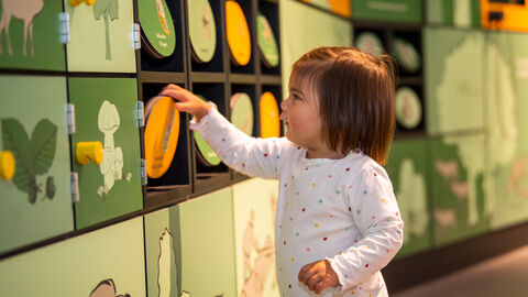 Kind in Kellerwalduhr spielt an interaktiver Ausstellung