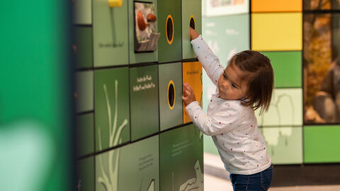 Kind steckt Hand in Tastbox in der Kellerwalduhr