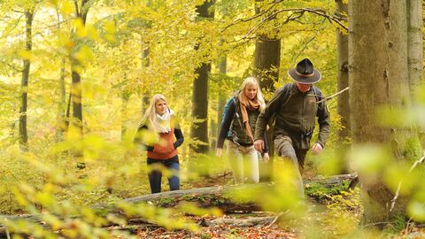 Rangerwanderung Ranger wandert mit zwei Menschen im Herbstwald