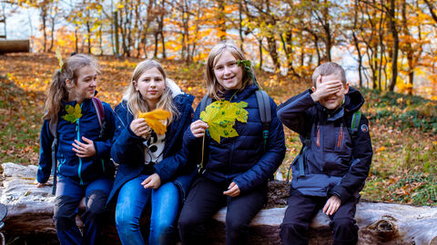 Natur verstehen Kinder sitzen auf Baumstamm und halten Blätter in den Händen