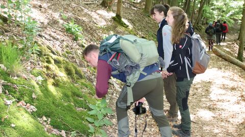 Schutzgebietserkundung: Die drei Umweltpraktikanten des vergangenen Jahres waren botanisch sehr interessiert nahmen während einer Führung durch den Nationalpark die Vegetation am Wegesrand unter die Lupe. Personen schauen sich im Wald etwas auf dem Waldboden an