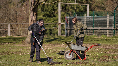 Die Pferdekoppel muss regelmäßig gereinigt werden Personen äppeln Pferdewiese ab