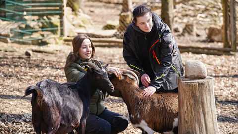 Kontrolle im Ziegengehege Personen streicheln Ziegen