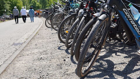 Zahlreiche Fahrräder