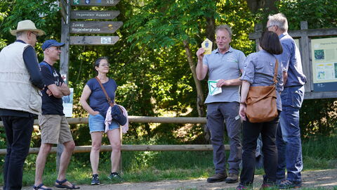 Mehrere Personen gehen mit einem Ranger wandern