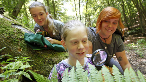 Zwei Kinder und eine Rangerin untersuchen ein Blatt