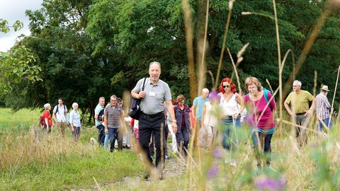 Menschen wandern gemeinsam durch die Natur
