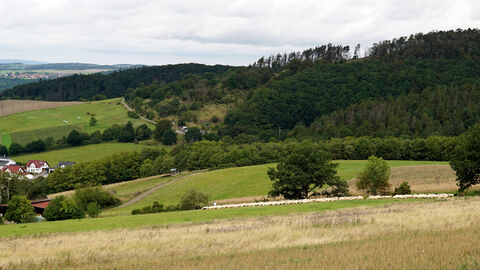Schäfer mit Schafherde
