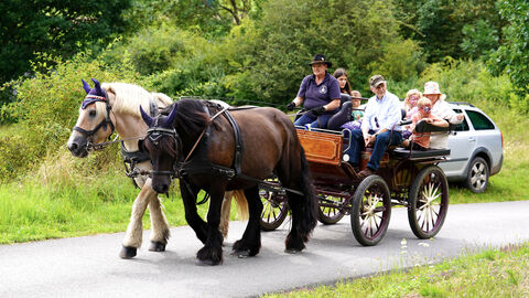 Zwei Pferde ziehen eine Kutsche, auf der mehrere Personen Platz genommen haben.