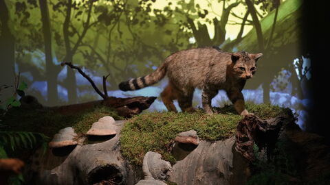 Eröffnung Erlebnisrotunden