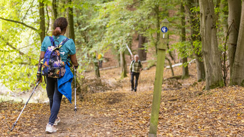 Rechtskräftiges Urteil: Wandernde sind auch auf touristisch beworbenen Wanderwegen wie denen der Qualitätswanderregion Edersee auf eigene Gefahr im Wald unterwegs und müssen sich der sogenannten waldtypischen Gefahren bewusst sein. Deshalb sollte der Wald bei starken Niederschlägen und Winden aus Eigenschutz nicht betreten werden. Zwei Menschen wandern durch einen Wald