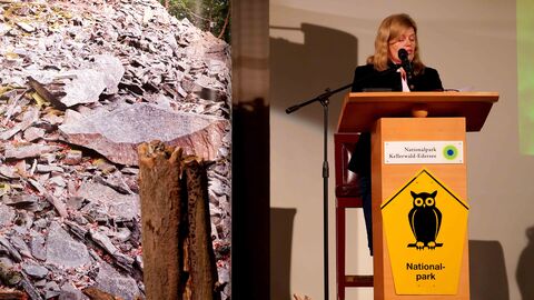 Eine Person spricht auf einer Bühne