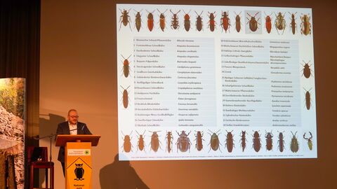 Eine Person spricht auf einer Bühne