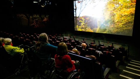 Mehrere Personen sitzen in einem Kino