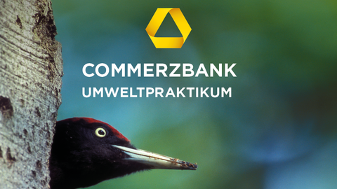 Commerzbank-Umweltpraktikum Logo Umweltpraktikum