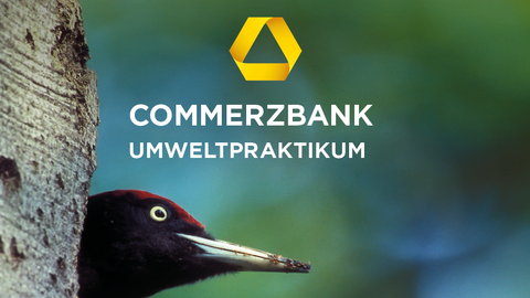 Logo Umweltpraktikum