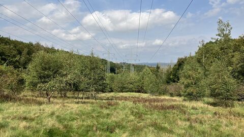 Aufnahme von einer Stromtrasse im Wald