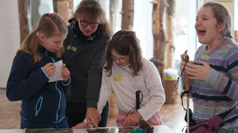 Schulkinder testen das inklusive Wildkatzenmodul