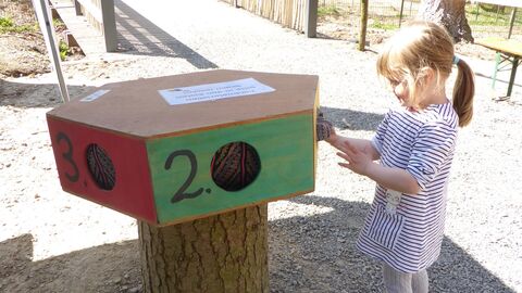 Kind spielt an einer Fühlkiste