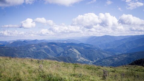 Landschaftsaufnahme eines Naturwaldes in Rumänien
