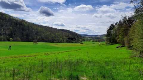 Blick in ein Wiesental