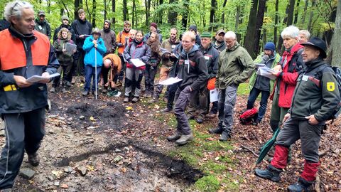 Mehrer Personen begutachten gemeinsam im Wald ein Bodenprofil
