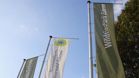 Fahnen am WildtierPark Edersee