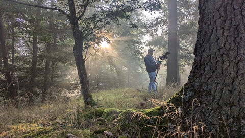 Dreharbeiten in den Morgenstunden: Für die hr-Dokumentation „Weltwunder in Hessen“ wurde unter anderem die besondere Atmosphäre des Nationalparks Kellerwald-Edersee bei Sonnenaufgang an der Schönen Aussicht bei Vöhl-Basdorf eingefangen. Mann steht mit Kamera bei Sonnenaufgang im Wald