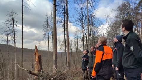 Exkursion in den Wald