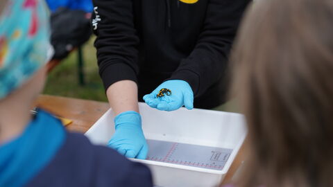 Fest im WildtierPark