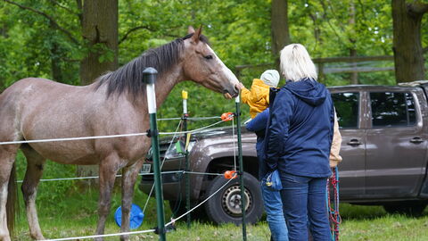 Fest im WildtierPark
