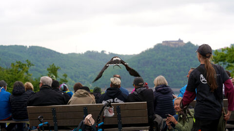 Fest im WildtierPark
