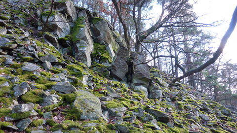 Blockschutthalden im Nationalpark Kellerwald-Edersee