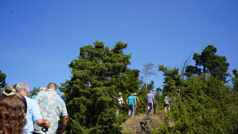 Wanderung über die Koppe Bei strahlendem Sonnenschein wanderten interssierte Besucherinnen und Besucher mit 2 Rangern die neue Heide-Route.