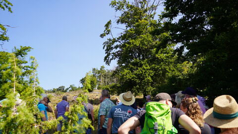 Wanderung über die Koppe Eine große Gruppe wanderte mit 2 Rangern die neue Heide-Route