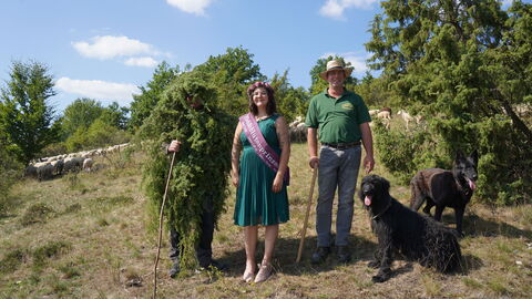 Wacholdermännchen - Heideblütenprinzessin - Schäfer mit Hunden und Schafen im Hintergrund Das Wacholdermännchen, die Heideblütenprinzessin mit Schärpe und ein Schäfer mit seinen zwei schwarzen Hunden blicken in die Kamera und lächeln, im Hintergrund auf dem Hügel ist die Schafherde