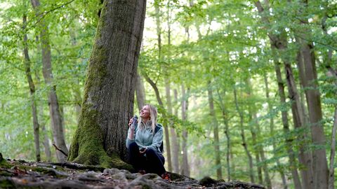 Person sitzt an einem Baum im Wald und hält eine Trinkflasche in der Hand